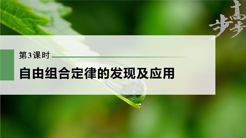 高中生物高考2023年高考生物一轮复习(新人教新高考) 第5单元 第3课时 自由组合定律的发现及应用课件PPT第1页