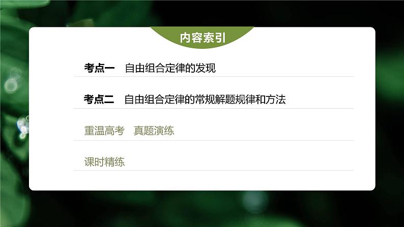 高中生物高考2023年高考生物一轮复习(新人教新高考) 第5单元 第3课时 自由组合定律的发现及应用课件PPT第3页
