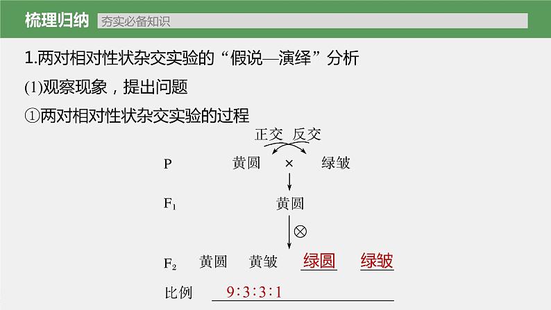 高中生物高考2023年高考生物一轮复习(新人教新高考) 第5单元 第3课时 自由组合定律的发现及应用课件PPT第5页