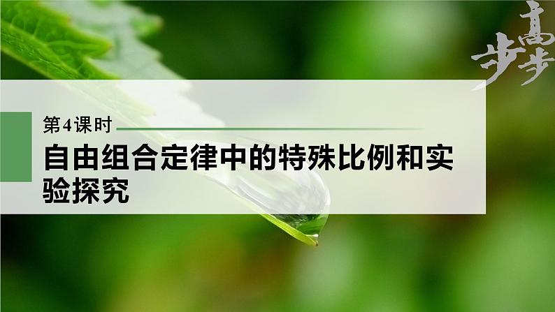 高中生物高考2023年高考生物一轮复习(新人教新高考) 第5单元 第4课时 自由组合定律中的特殊比例和实验探究课件PPT第1页