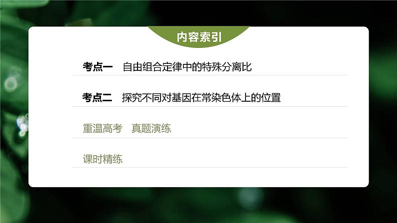 高中生物高考2023年高考生物一轮复习(新人教新高考) 第5单元 第4课时 自由组合定律中的特殊比例和实验探究课件PPT第3页