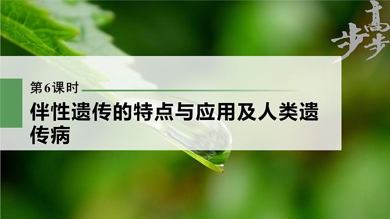 高中生物高考2023年高考生物一轮复习(新人教新高考) 第5单元 第6课时 伴性遗传的特点与应用及人类遗传病课件PPT第1页