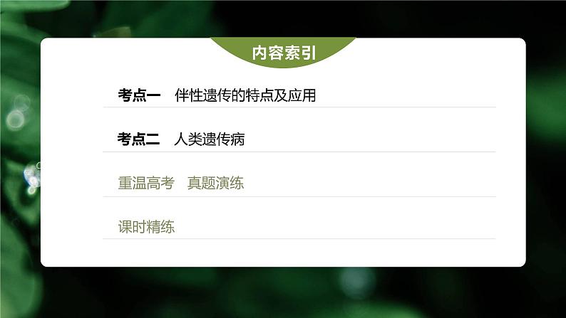 高中生物高考2023年高考生物一轮复习(新人教新高考) 第5单元 第6课时 伴性遗传的特点与应用及人类遗传病课件PPT第3页