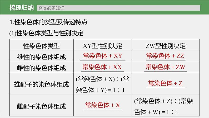 高中生物高考2023年高考生物一轮复习(新人教新高考) 第5单元 第6课时 伴性遗传的特点与应用及人类遗传病课件PPT第5页