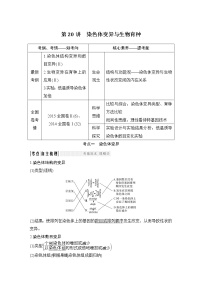 高中生物高考必修二 第七单元 第20讲