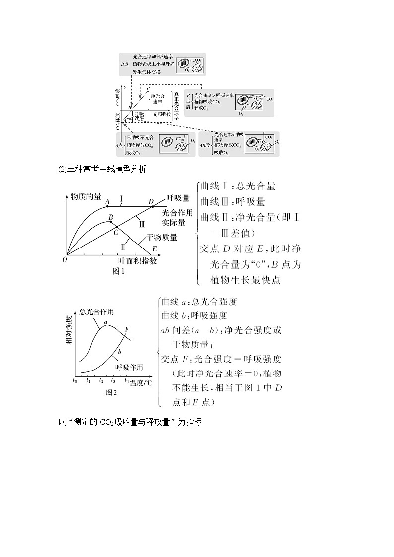 高中生物高考补上一课2 “三率”测定及相关实验设计第2页