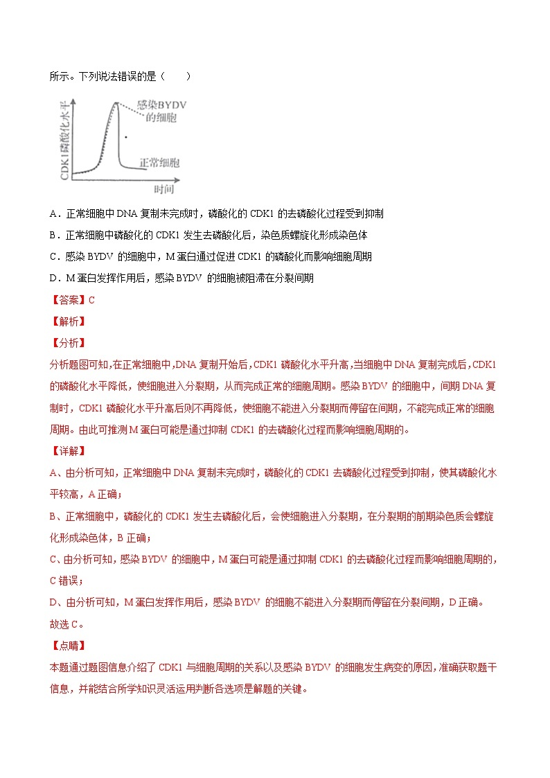 高中生物高考第四单元 细胞的生命历程（作业）02