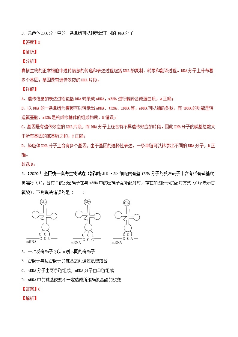 高中生物高考第五单元 遗传的分子基础（作业）02