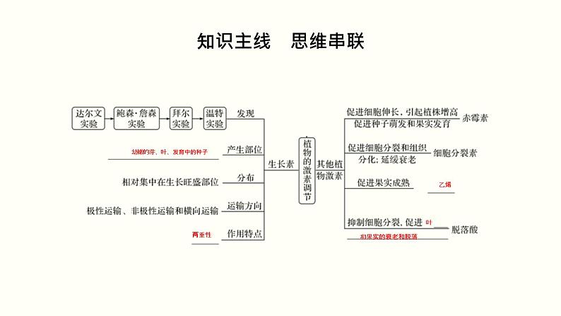 高中生物高考第九单元 植物的激素调节(课件)第2页