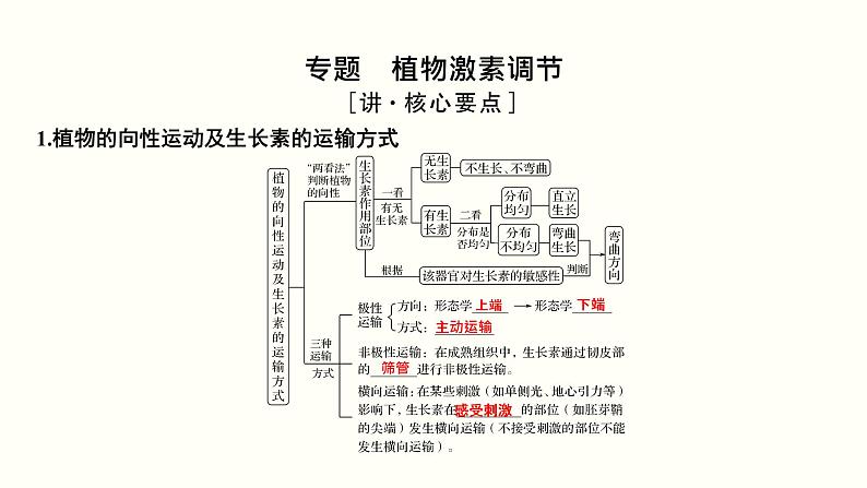 高中生物高考第九单元 植物的激素调节(课件)第3页