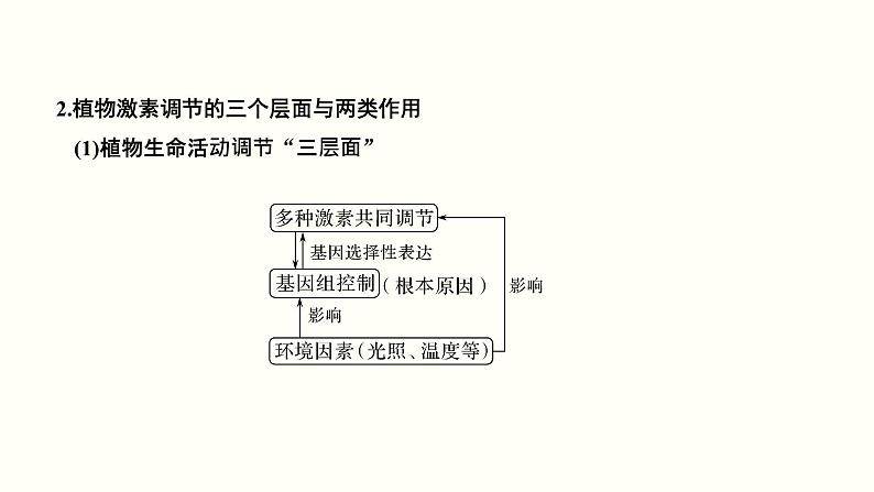 高中生物高考第九单元 植物的激素调节(课件)第5页