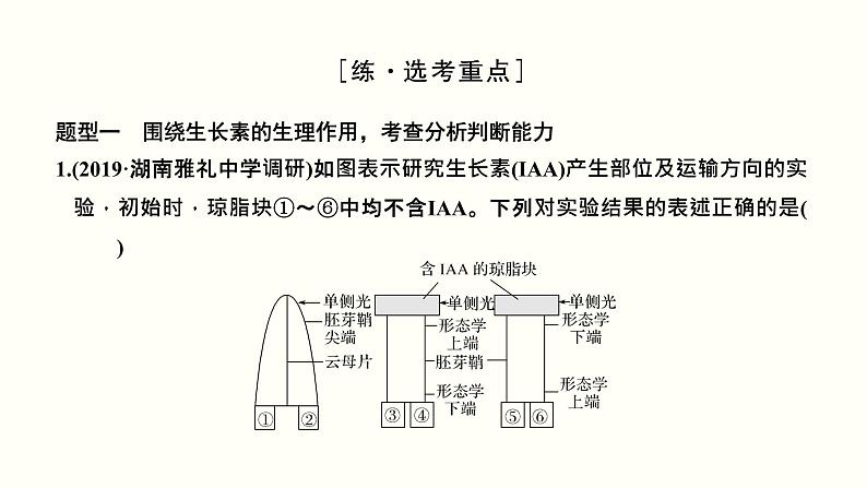 高中生物高考第九单元 植物的激素调节(课件)第7页