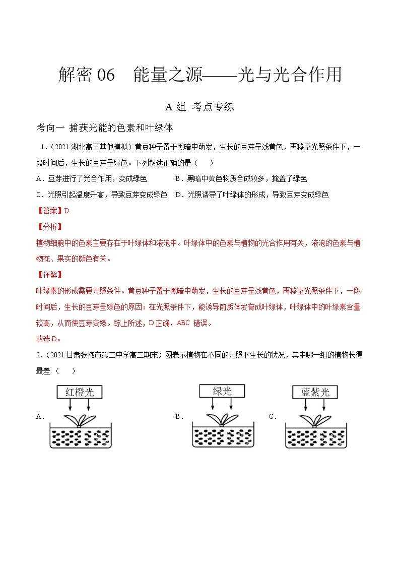 高中生物高考解密06 能量之源——光与光合作用（分层训练）（解析版）01