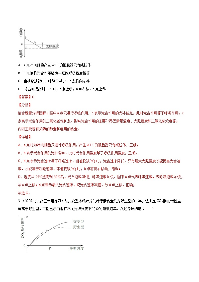 高中生物高考解密07 光合作用和呼吸作用的联系及应用（分层训练）（解析版）02