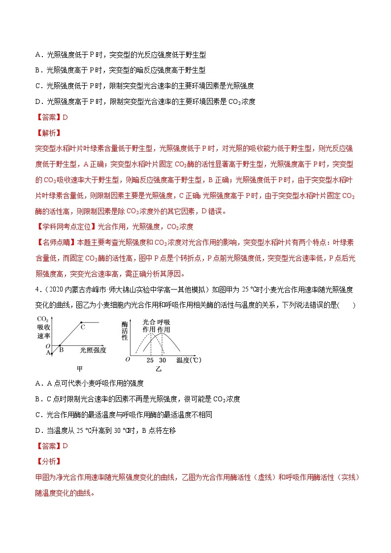 高中生物高考解密07 光合作用和呼吸作用的联系及应用（分层训练）（解析版）03