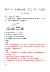 高中生物高考解密09 细胞的分化、衰老、凋亡及癌变（分层训练）（解析版）