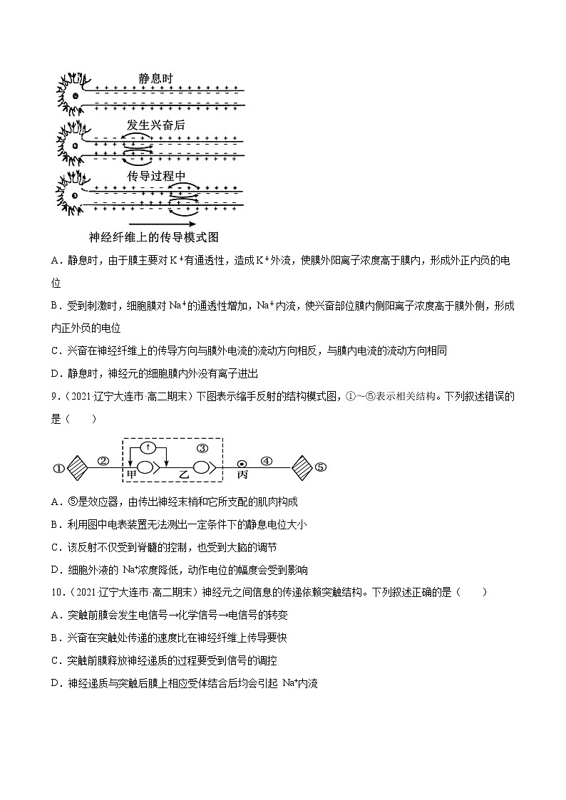 高中生物高考解密16 神经调节(分层训练)(原卷版)第3页