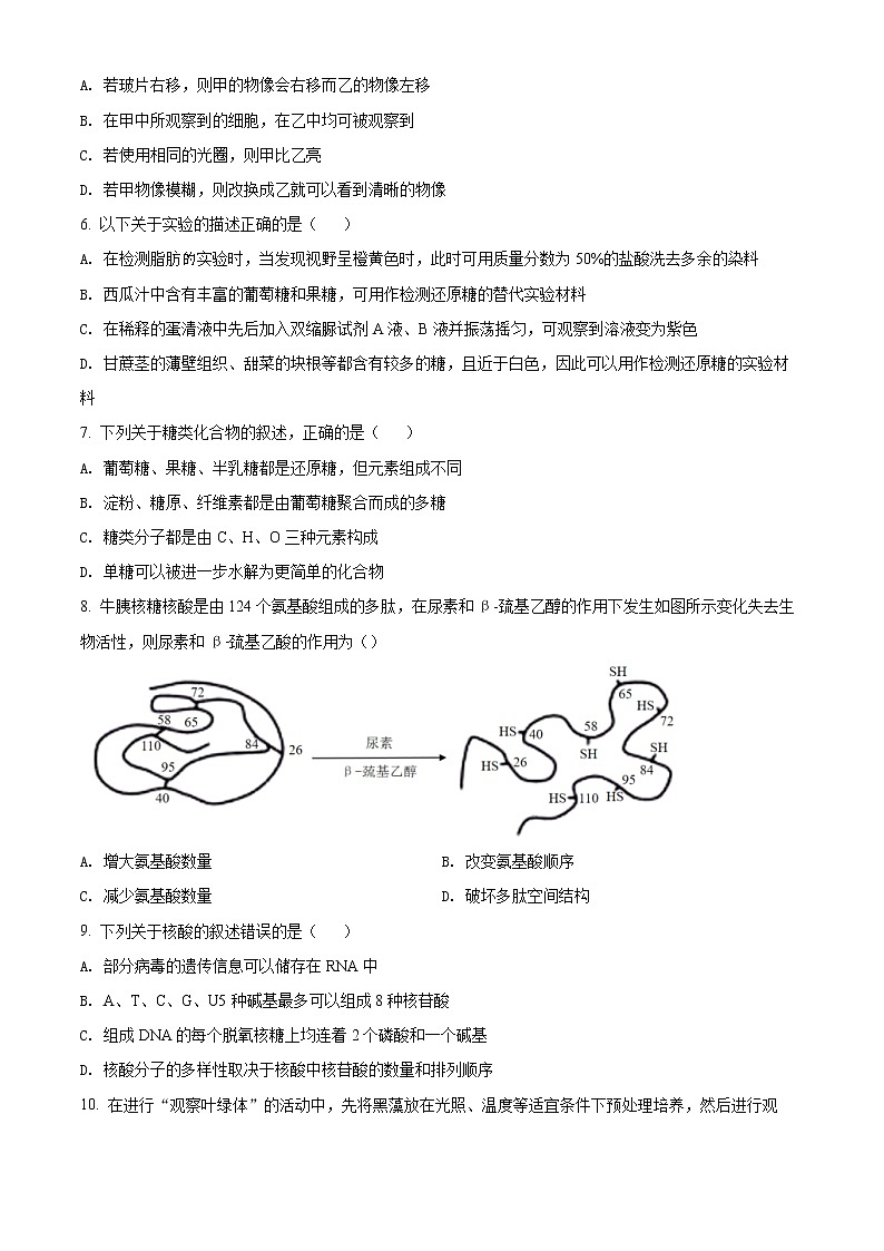 2022天津河西区高一上学期期末生物试题含解析02