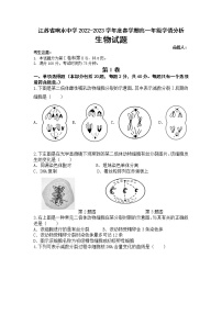 江苏省盐城市响水中学2022-2023学年高一下学期3月学情分析生物试题