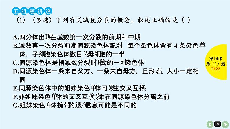 高中生物高考高考生物(全国版)一轮复习课件:第16课-减数分裂和受精作用第6页