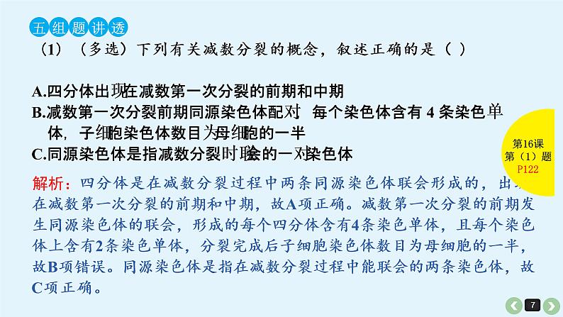 高中生物高考高考生物(全国版)一轮复习课件:第16课-减数分裂和受精作用第7页