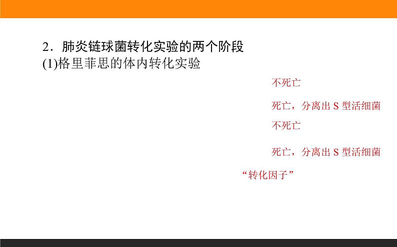 3.第1节 DNA是主要的遗传物质课件PPT05