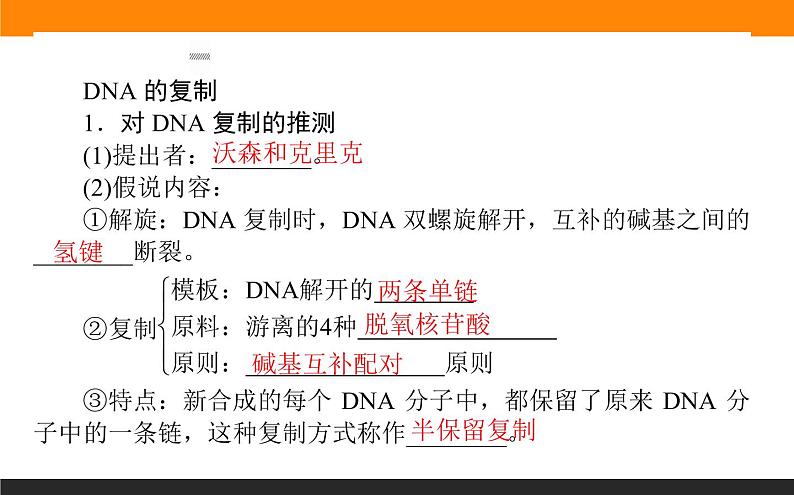 3.第3节 DNA的复制课件PPT第3页