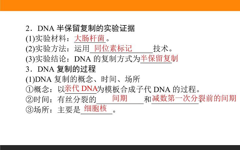 3.第3节 DNA的复制课件PPT第4页