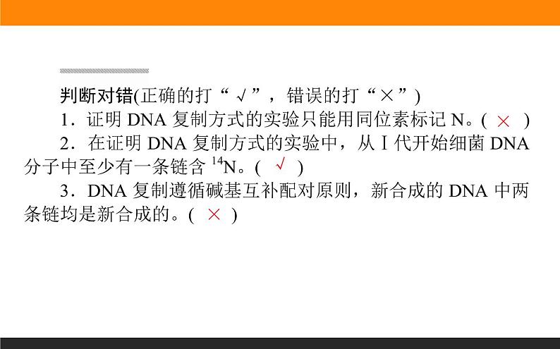3.第3节 DNA的复制课件PPT第7页