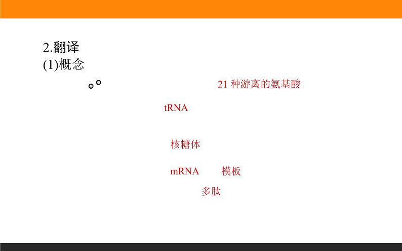 4.第1节 基因指导蛋白质的合成课件PPT第8页