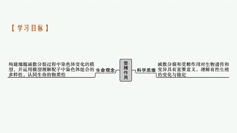 第1节 第2课时 受精作用课件PPT第3页