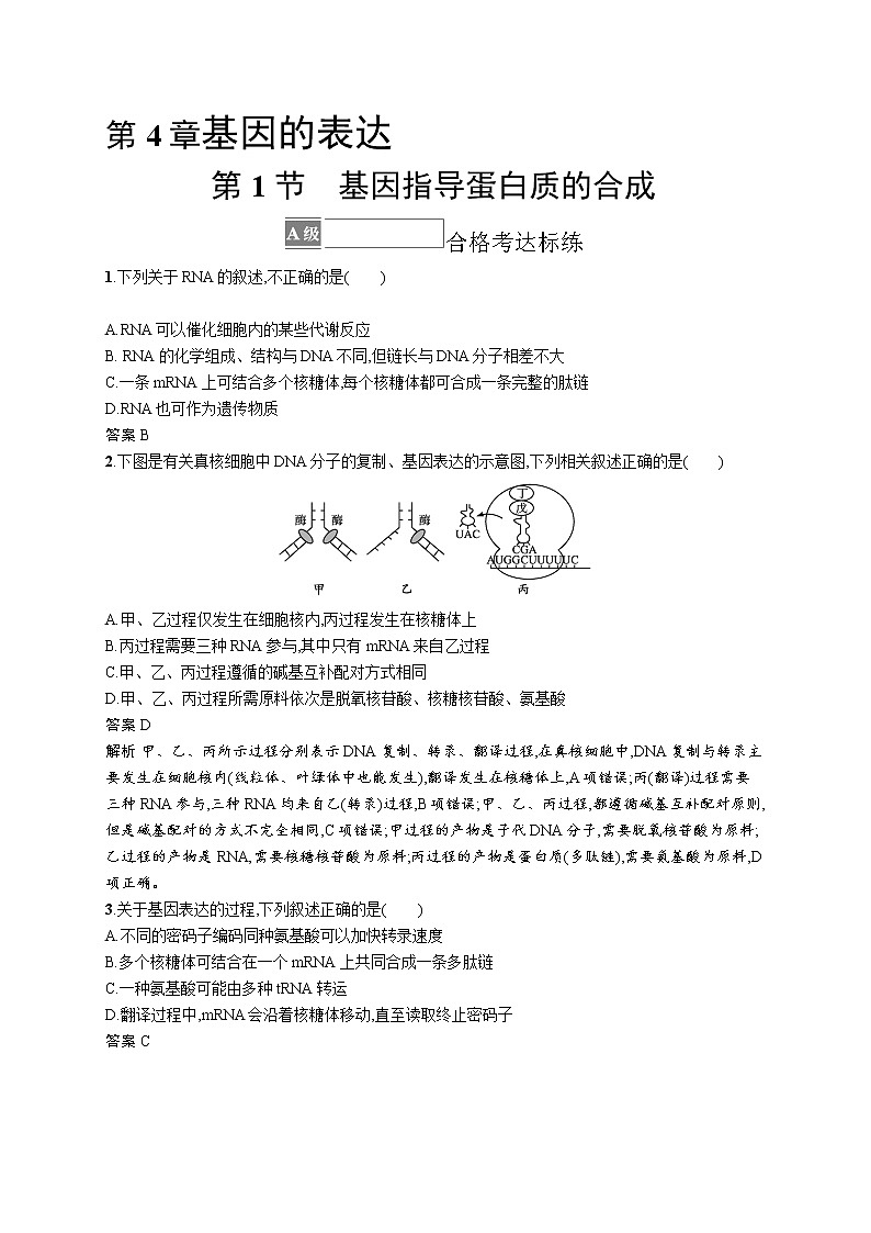 第1节 基因指导蛋白质的合成第1页