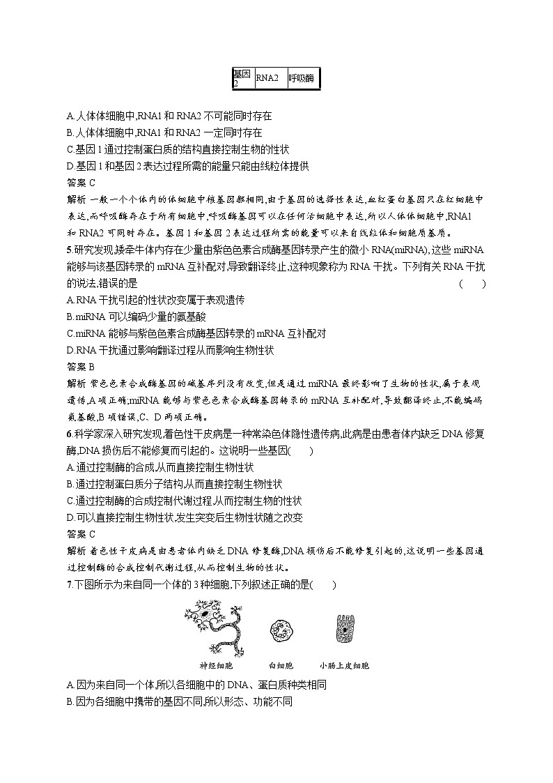 第2节 基因表达与性状的关系第2页