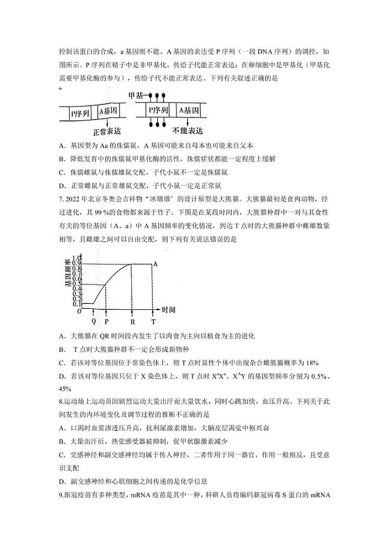 2022-2023学年湖南省长沙市雅礼中学高三下学期月考(六)生物学试题(PDF版)第3页