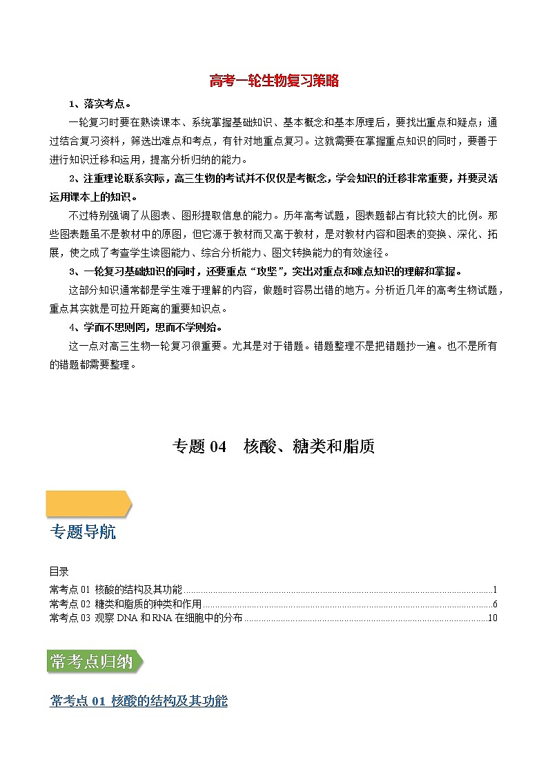 专题04 核酸、糖类和脂质(教师版)第1页