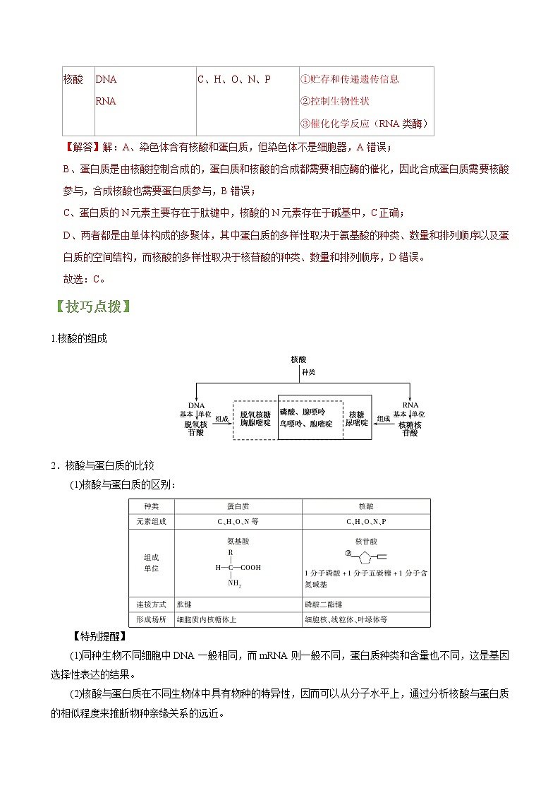 专题04 核酸、糖类和脂质(教师版)第3页