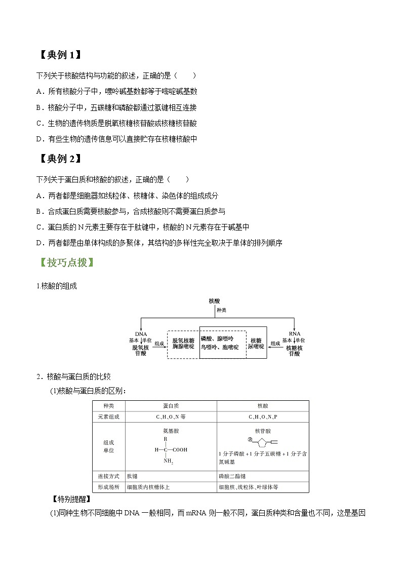 专题04 核酸、糖类和脂质(学生版)第2页