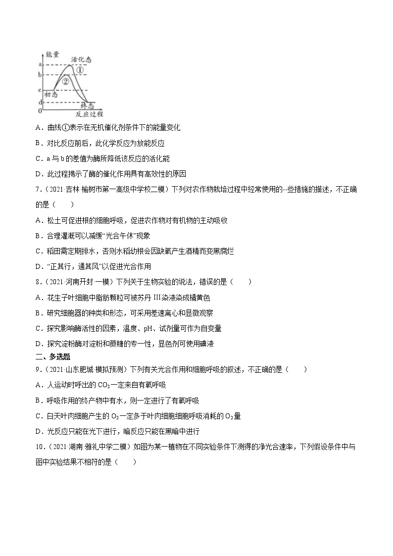 高考生物二轮复习【讲通练透】 专题03  细胞的能量供应和利用03