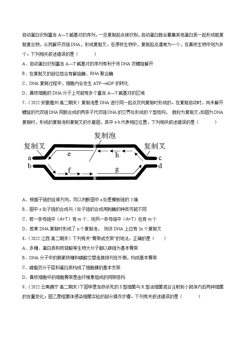 07 遗传的分子学基础(分层训练)(学生版)第3页