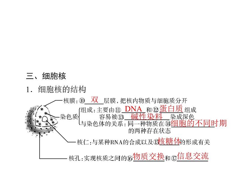 高中生物高考考点精讲3 细胞的结构和功能及物质运输(课件)第6页