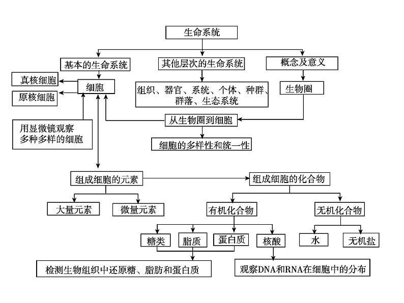 高中生物高考考点精讲1 走近细胞(课件)02