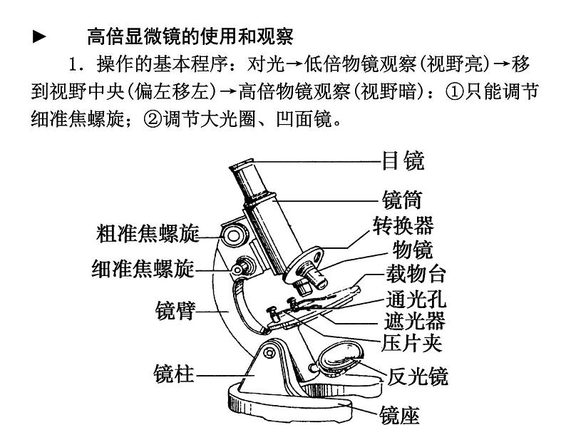 高中生物高考考点精讲1 走近细胞(课件)04