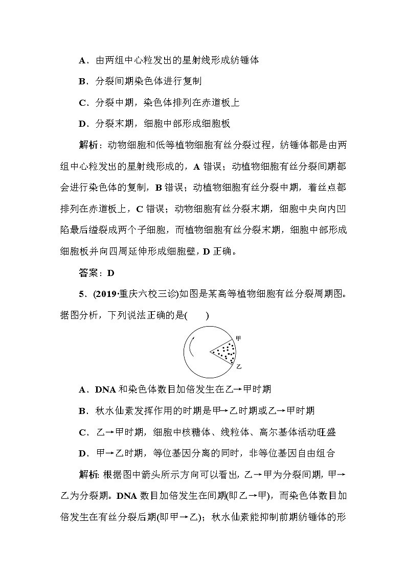 高中生物高考课时作业15第3页
