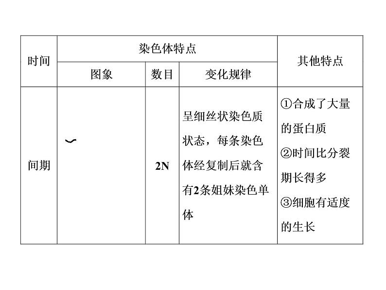 高中生物高考考点精讲7 细胞的生命历程(课件)第8页