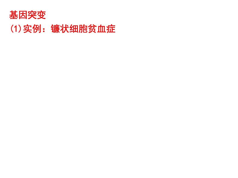 高中生物高考考点精讲10 生物的变异与进化(课件)第5页