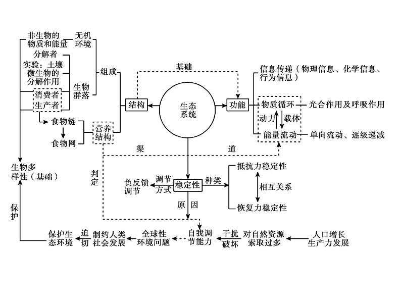 高中生物高考考点精讲13 生态系统及其稳定性 人与环境(课件)02
