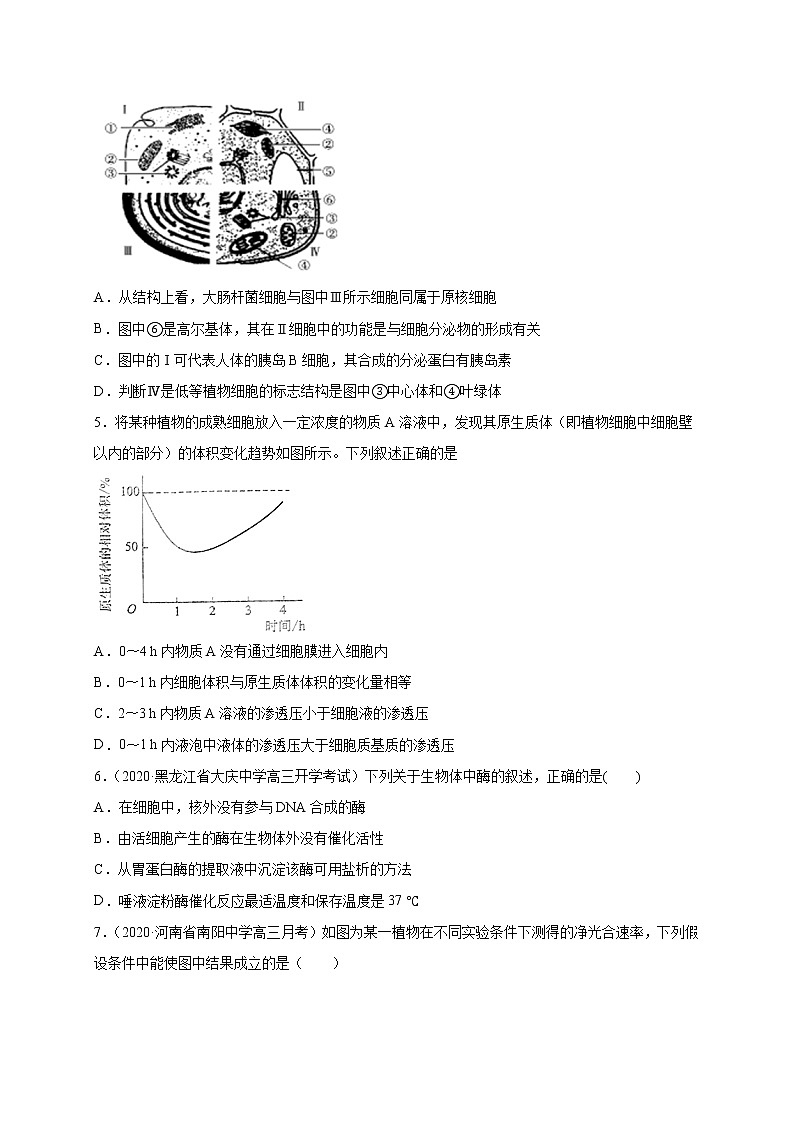 高中生物高考专练08 易混易错 题-2020年高考生物总复习考点必杀800题(原卷版)第2页