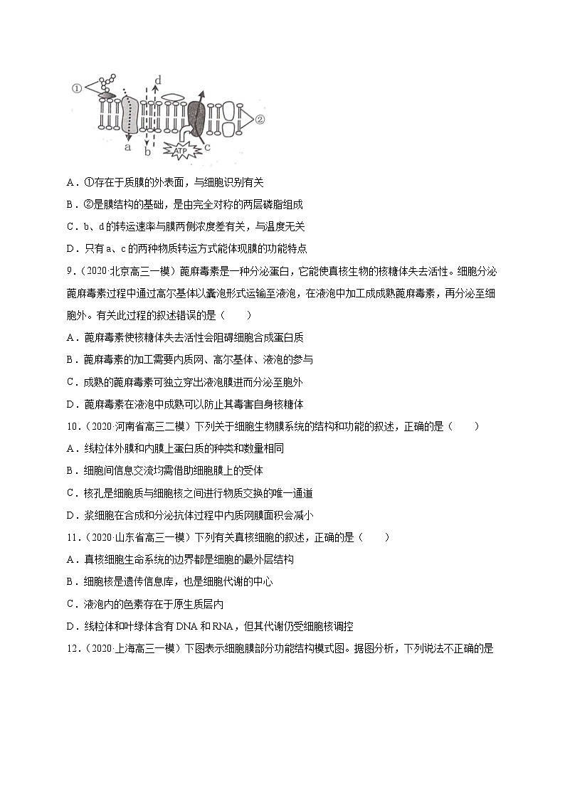 高中生物高考专练11 分子与细胞冲刺高考 题-2020年高考生物总复习考点必杀800题(原卷版)第3页