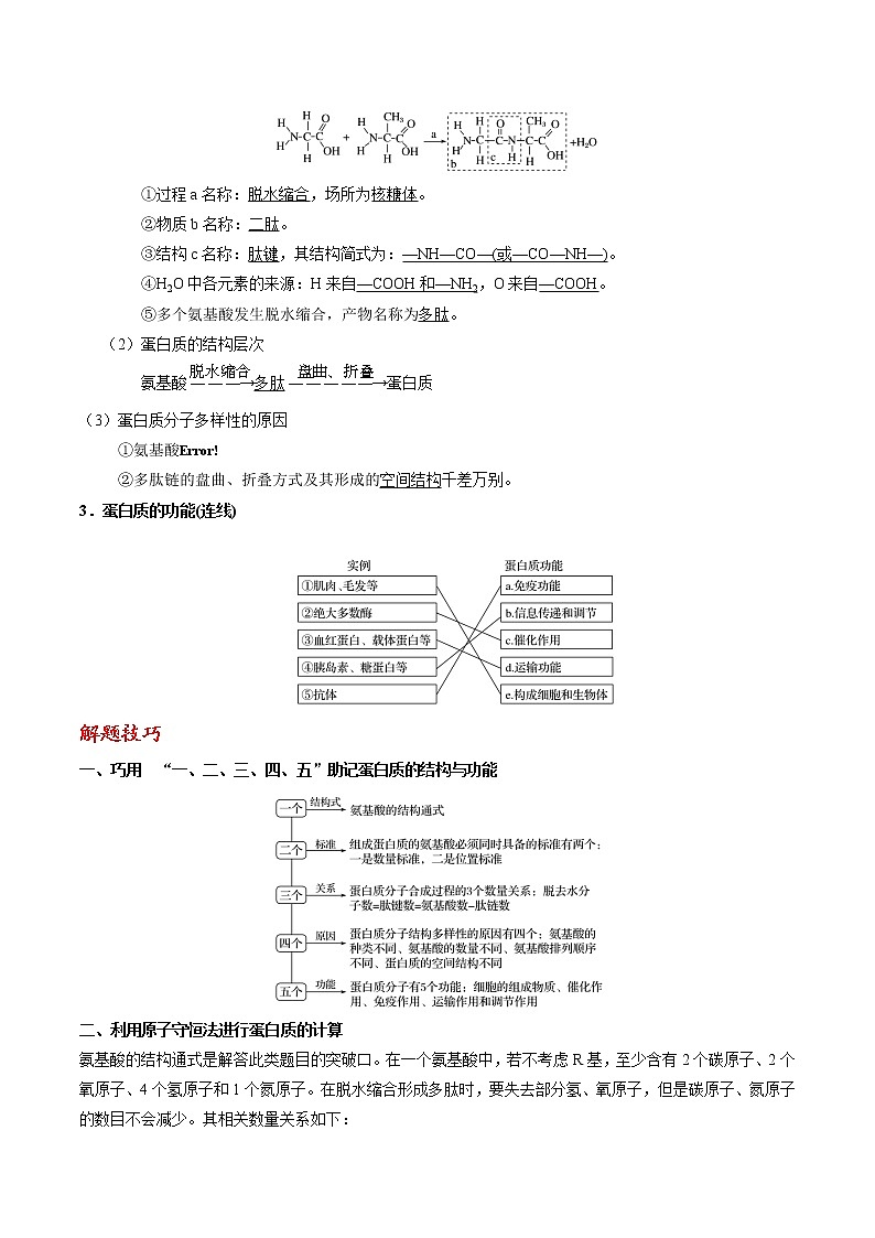 专题03 蛋白质(学生版)第2页