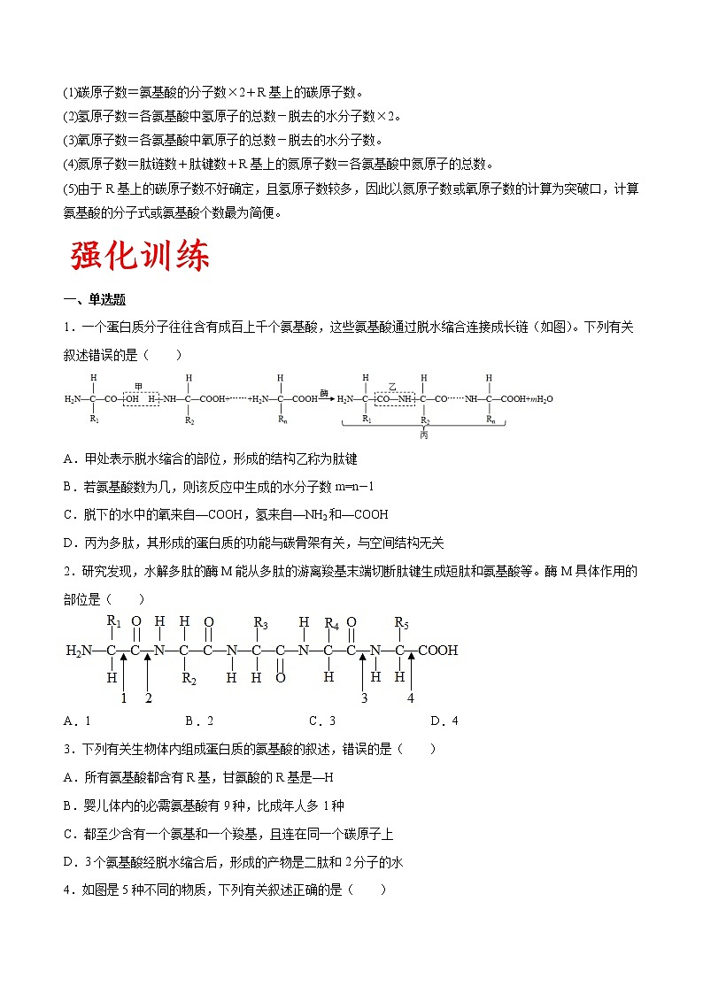 专题03 蛋白质(学生版)第3页